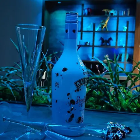 Apartment Private Penthouse