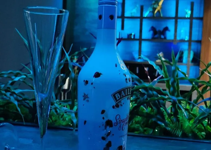 Apartment Private Penthouse